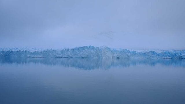 Japanese Temple with Cherry Blossoms